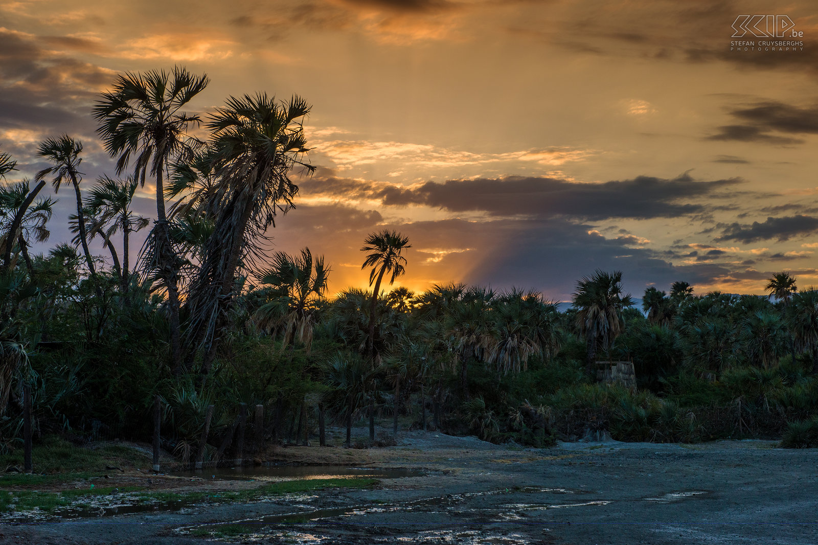 Loiyangalani - Zonsopgang Fantastische zonsopgang in de palm oase van Loiyangalani. Stefan Cruysberghs